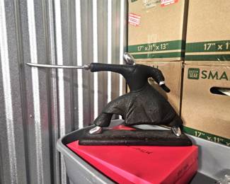 photo sword guy