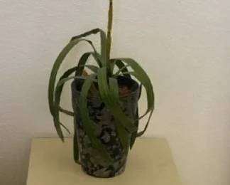 Small Table And Decorative Plant