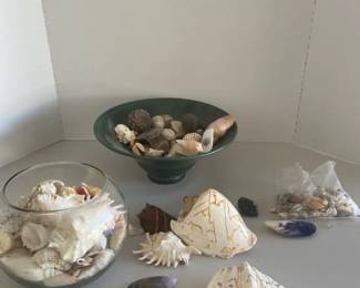 Sally Sells Seashells By The Seashore