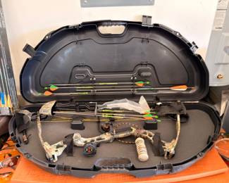 Compound bow with arrows in hard case
