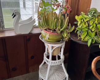 Plant & White Wicker Stand