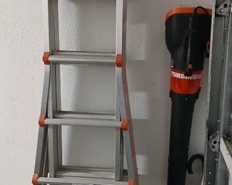 Extension ladder, blower