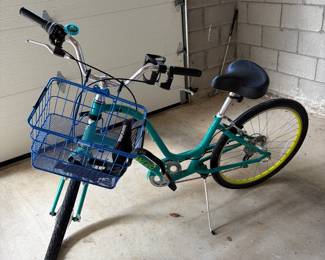 Electra Townie Bicycle