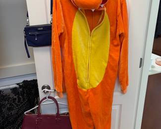 Charzard costume
