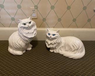 cats $20 each