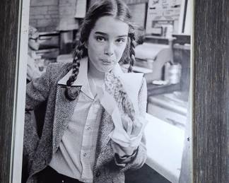 Framed Photograph of Brooke Shields