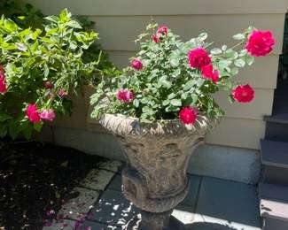 2nd Gorgeous Pot
