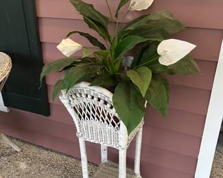 Wicker furniture