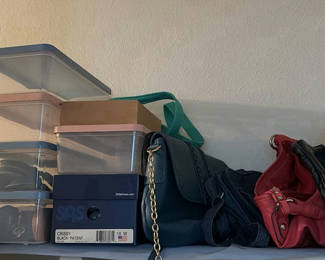 Lot 138: Storage Bins, Handbags, Shoe Boxes, and Clothes Steamer