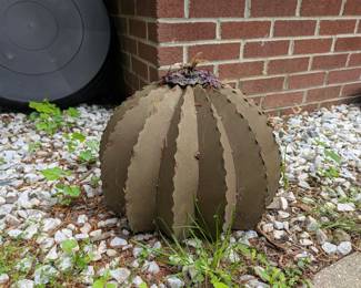 Torch Cactus