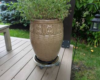 Pot