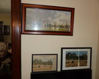 Framed pictures