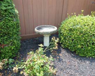 Birdbath