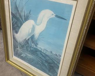 Audubon "Snowy Egret"