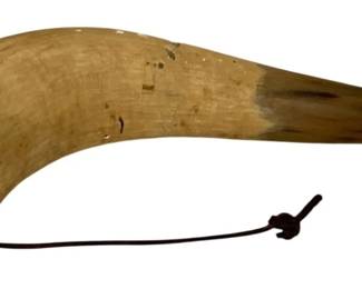 64 - Antique Powder Horn 14"x6" (Description): Antique powder horn with natural coloration ranging from cream to dark brown at the tip. The horn features a wooden base plug with attached leather cord for carrying. The surface shows characteristic natural striations and patina consistent with age. Measures 14 inches by 6 inches.