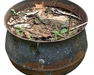260 - Cast Iron Stew Pot #3 10"x15" (Description): Cast iron stew pot marked #3, featuring a classic cauldron form with a rolled rim and rounded body. The pot displays a weathered patina with remnants of dark paint and natural rust coloring, indicative of age and outdoor use. Measures 10 inches by 15 inches.