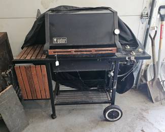 Weber Propane Grill