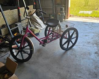 3 Wheel Bike