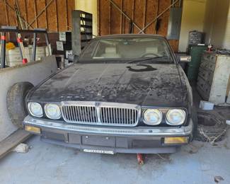 1984? Jaguar