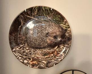 Royal Doulton "The Wary Hedgehog" Collector's Plate