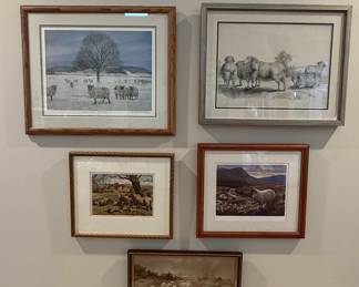 Collection of Five Framed Sheep Prints by J. Macleod and others