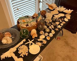 Assorted Seashells, Coral, and Nautical Decor Collection with Glass Fishing Floats
