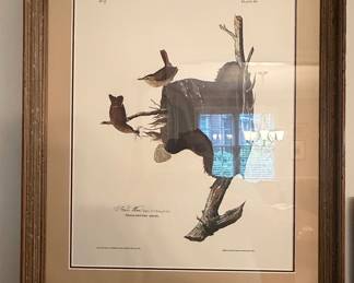 John James Audubon "The Birds of America" - Troglodytes adon (House Wren), Plate 83, Havell Edition Engraving