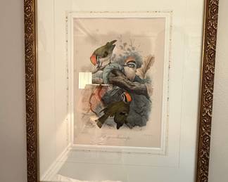 Dutch Finch Lithograph