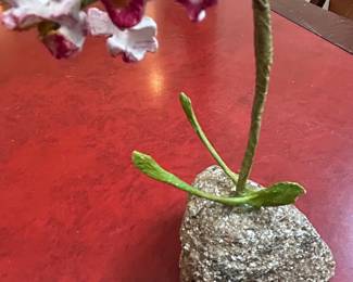 Handmade Artificial Orchid with Stone Base