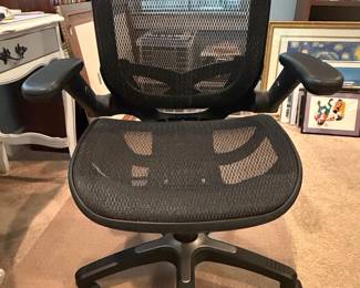 Gabrylly Ergonomic Office Chair with Flip-Up Arms