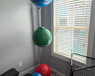 Body-Solid Vertical Stability and Medicine Ball Storage Rack