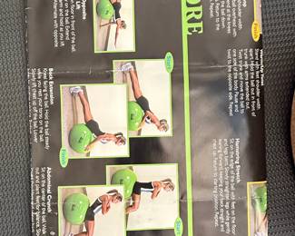 Stability Ball Core Exercise Instructional Poster