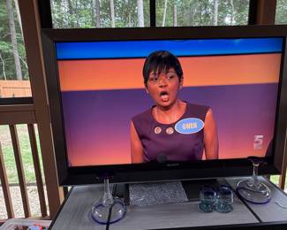 Sony BRAVIA LCD Television