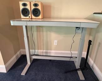 Tresanti Geller 47" Adjustable Height Desk