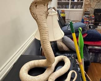 Taxidermy King Cobra Display