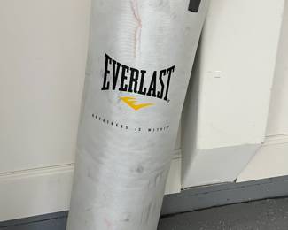 Everlast Punching Bag