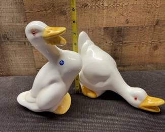 Ducks