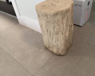 Petrified Wood Table