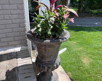 Plants