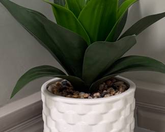 Faux Cactus