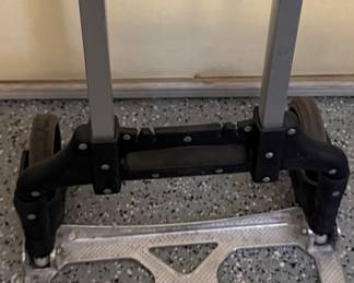 Magna Cart