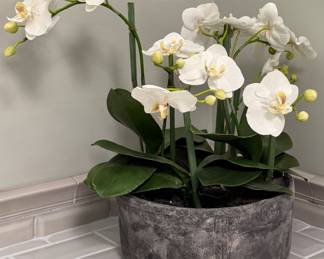 Faux Orchid