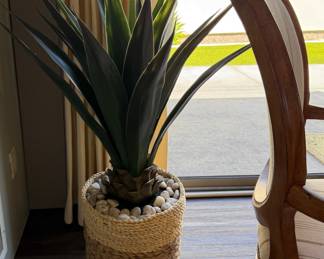 Faux Cactus in Rattan Basket