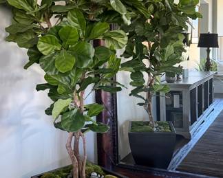 Mirror Beveled 62 1/2 w x 86 1/2 h, Faux Fig Tree in Metal Pot 7 1/2' 