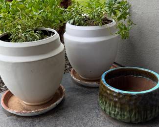 Flower Pot