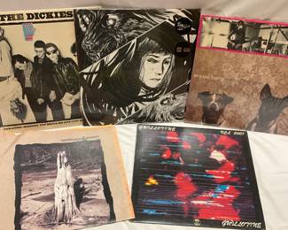 Lot of 10" Records - Punk & More