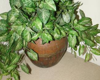 Plant
