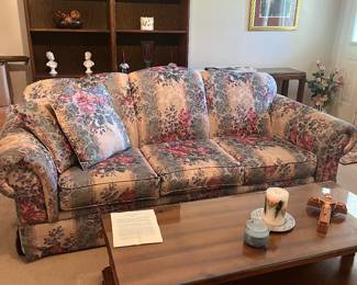 Sofa, bookcases, coffee table 