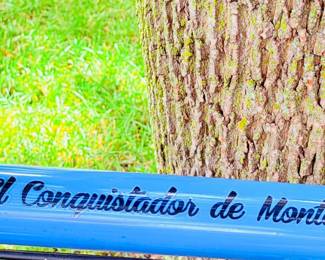 Ventana Tandem Mountain Bike