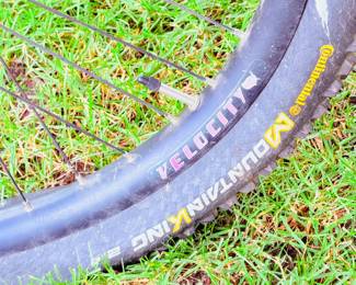 Ventana Tandem Mountain Bike